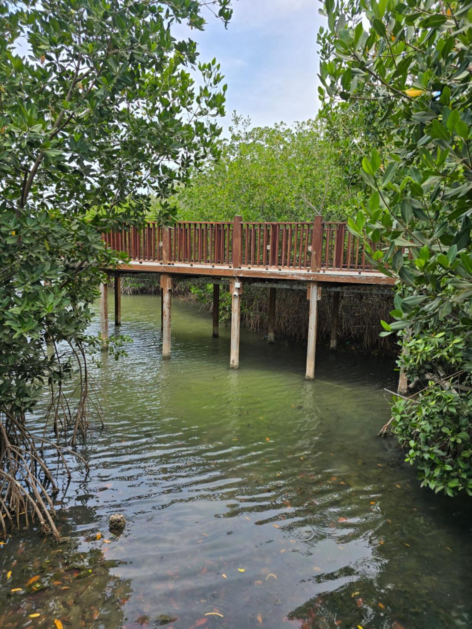 Hotel Los Veleros Santa Marta Exterior photo